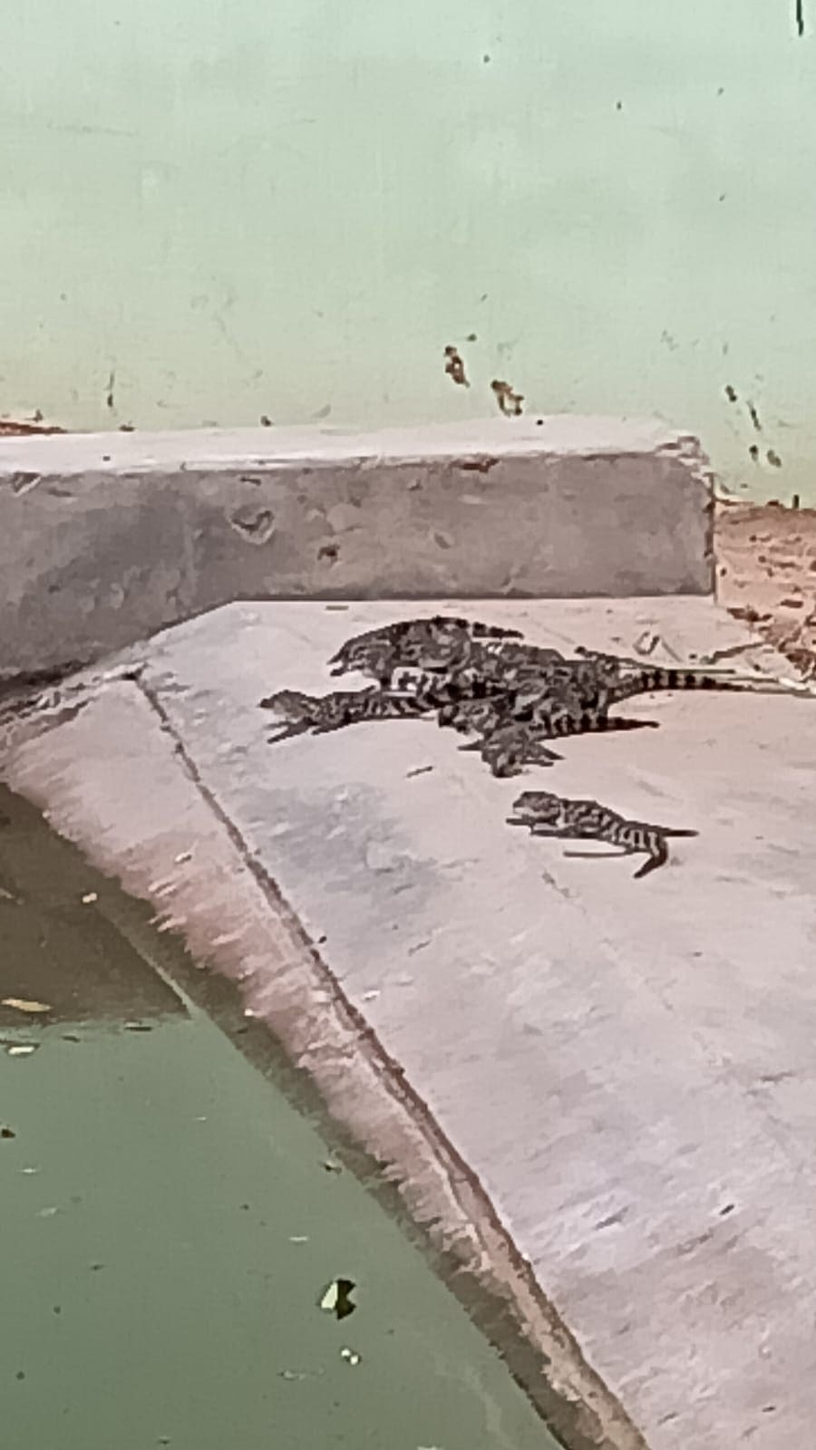 WhatsApp Image 2025-06-12 at 6.30.18 PM