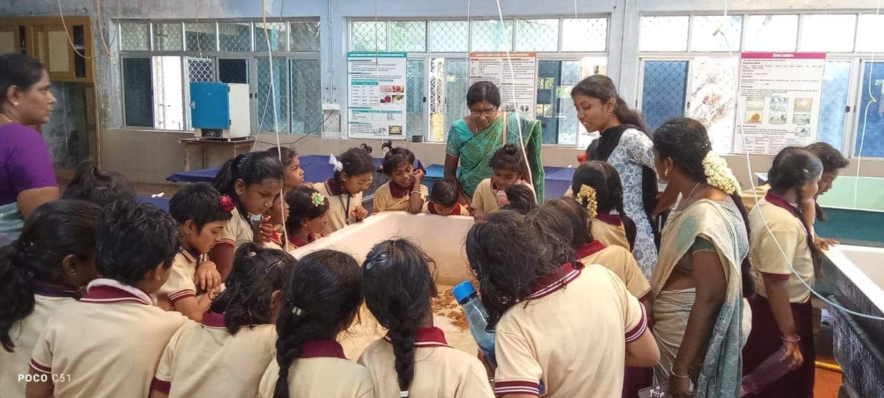 WhatsApp Image 2025-08-25 at 12.05.21 PM (1)