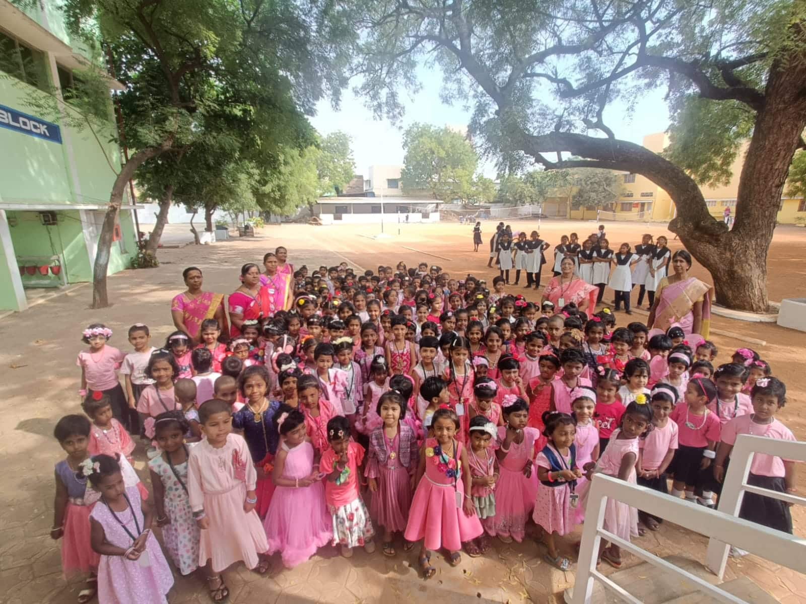 WhatsApp Image 2026-02-13 at 10.07.55 AM (1)